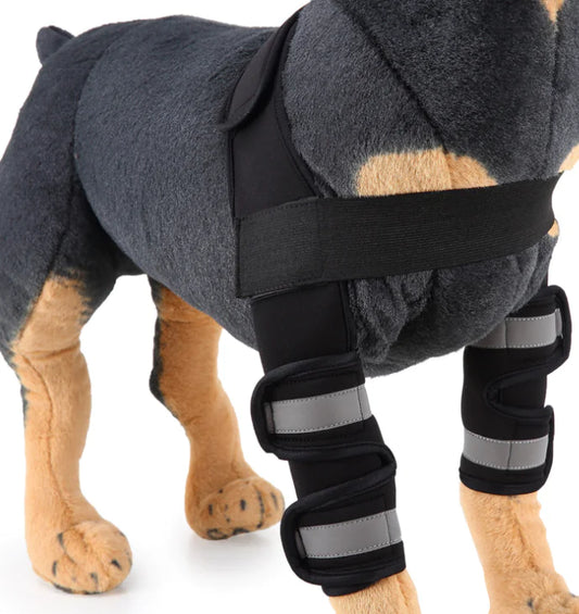🐶 Rodillera y Protector de Pierna para Perros – ¡Apoyo ideal en la recuperación!