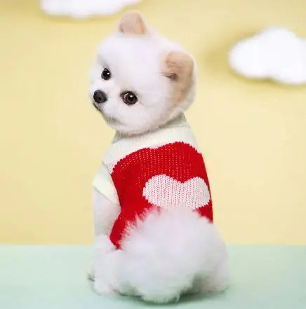 Jersey para mascotas🐾👕