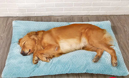 Cama larga y cálida de felpa para perro con base acolchada🏡🐾