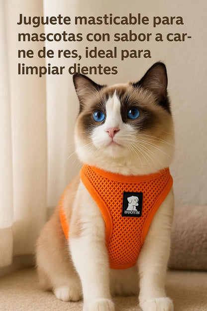 Arnés Antitirones con Correa Incluida😻
