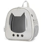 Mochila transportadora transparente para gatos