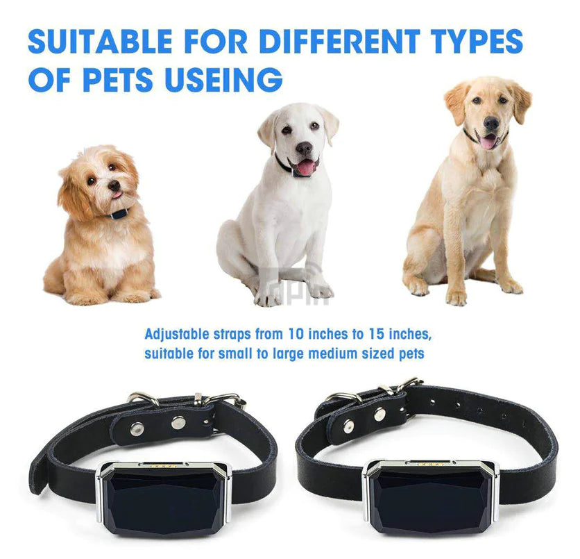 📍 Dispositivo Rastreador para Mascotas – Seguridad y Tranquilidad en Todo