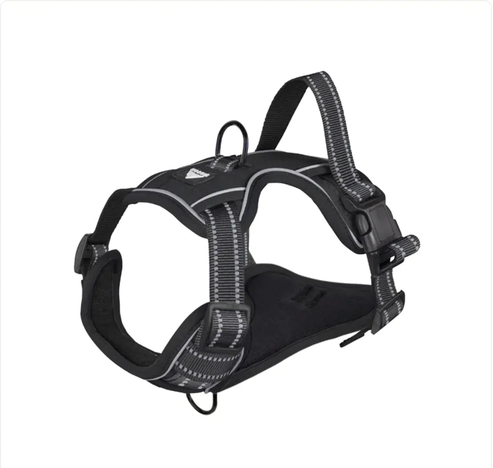 Arnés de Seguridad Reflectante con Correa para Perros🐕‍🦺🐾