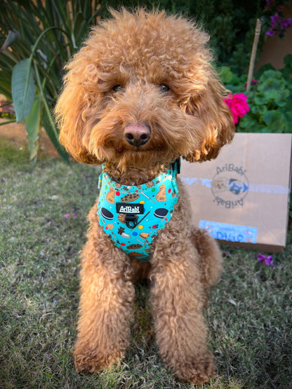 Arnés Ajustable Cookies