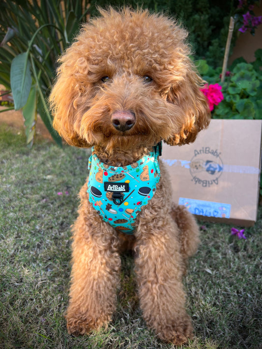 Arnés Ajustable Cookies