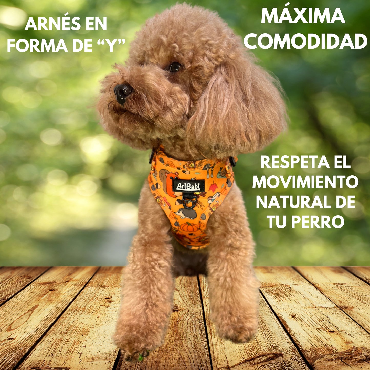 Arnés Ajustable Yosemite