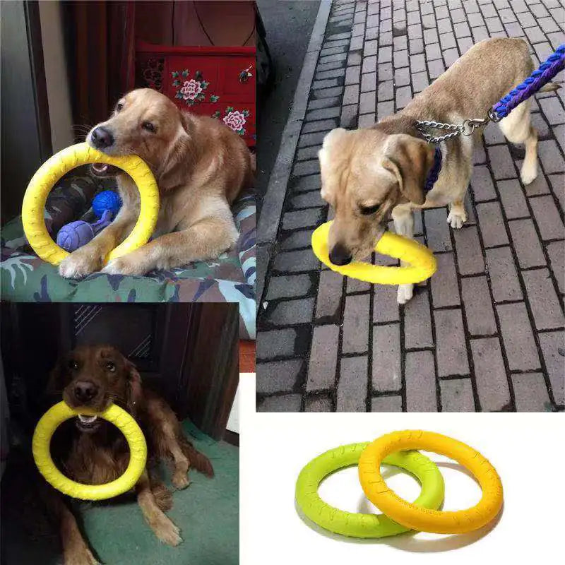 Juguete interactivo flotante para perros - Aro de entrenamiento para tirar