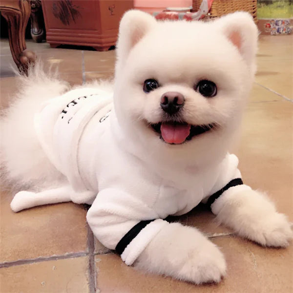 ✨ Albornoz Blanco con Capucha para Perros – Ropa de Mascota Súper Cómoda