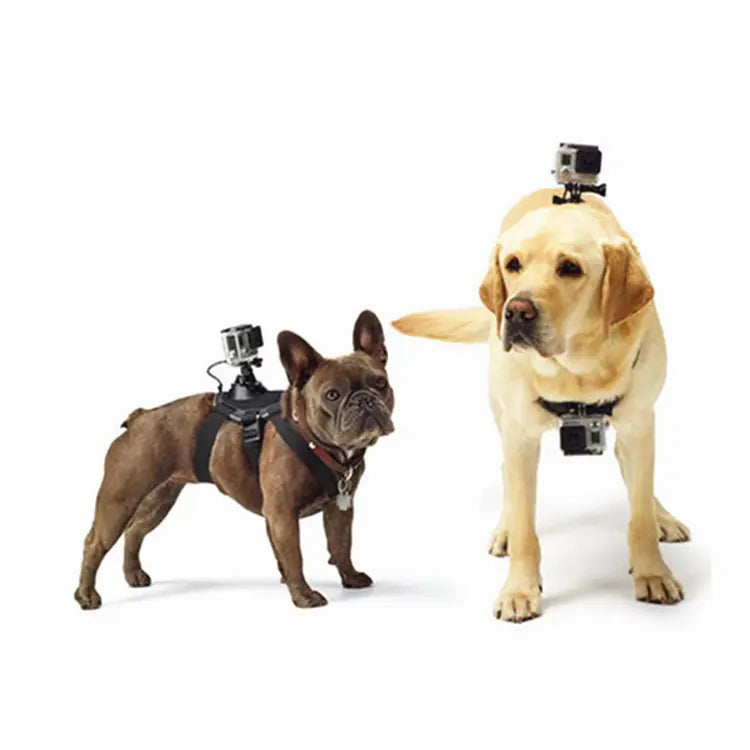 Arnés para Perro con Montura GoPro – Compatible con Hero 8, 7, 6, 5 y Accesorios DJI