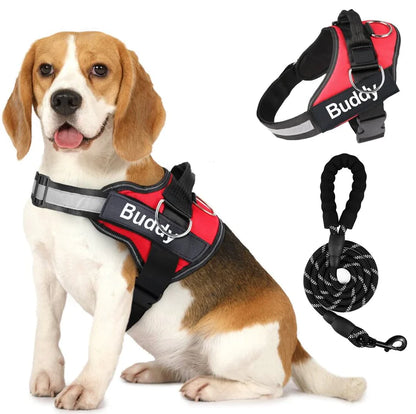 🐾🐕‍🦺Arnés doble para perros con correa incluida❤✨