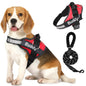 🐾🐕‍🦺Arnés doble para perros con correa incluida❤✨