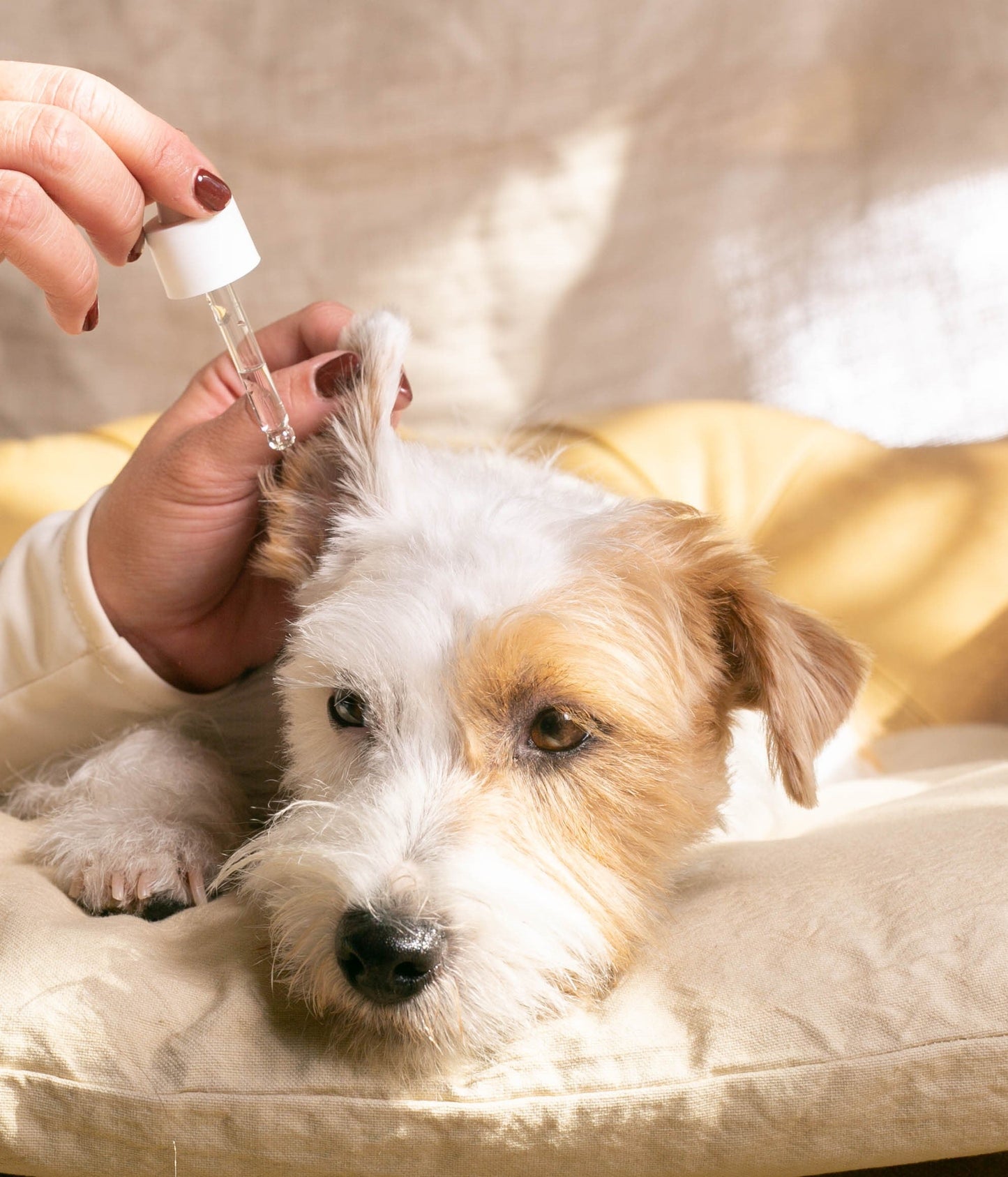 Limpiador y calmante de oídos