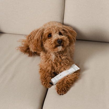 Crema- Mousse almohadillas, hocico y zonas secas