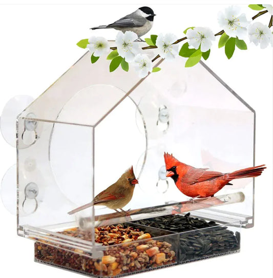 Comedero de acrílico para pájaros 🐦
