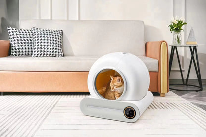 Arenero Auto limpiante con tecnología inteligente😻