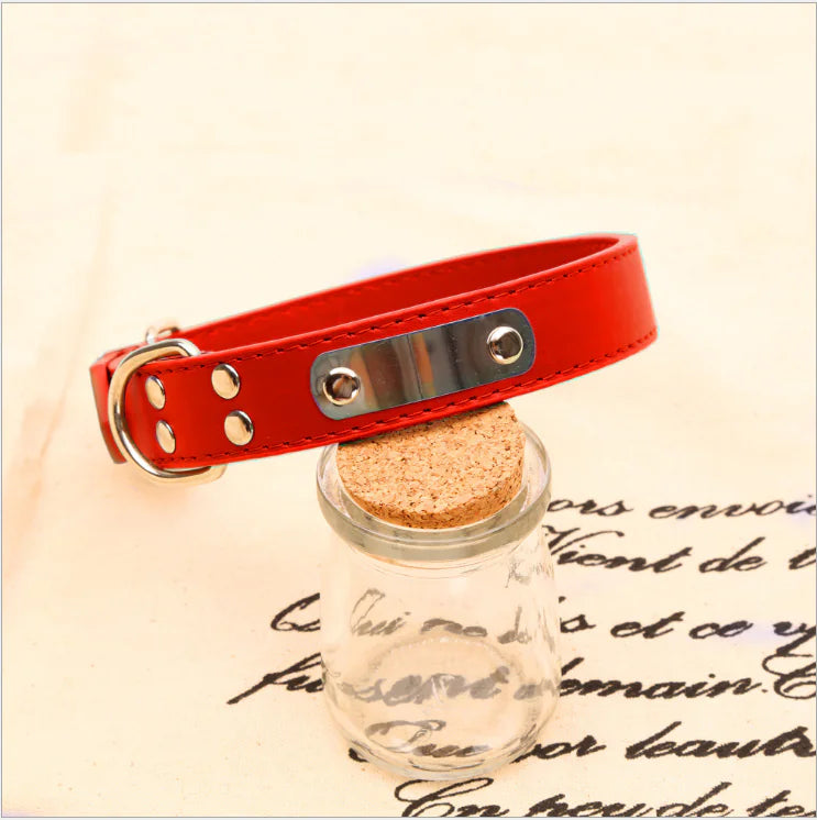 Collar para mascotas personalizado 😻🐾