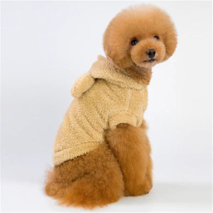 🐶👕 Traje cómodo y estiloso para tu peludo.