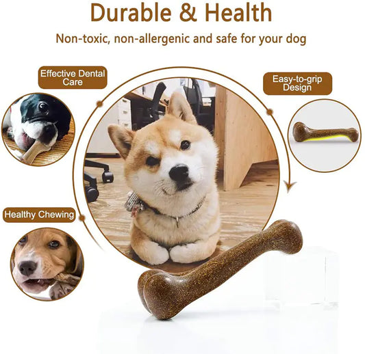 🐶Juguete masticable para mascotas con sabor a carne de res, ideal para limpiar dientes