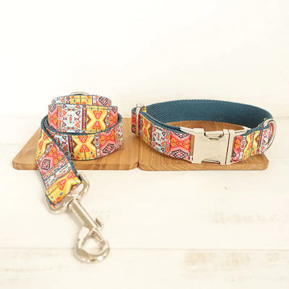 Correa para perros con diseños de colores🐾🐶