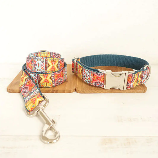 Correa para perros con diseños de colores🐾🐶