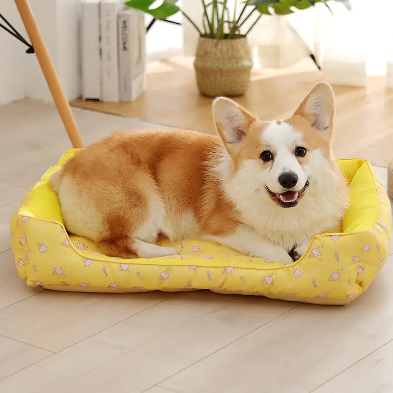 Camita de Verano para Peluditos — Fresca, Transpirable y Antihumedad🐾🐶