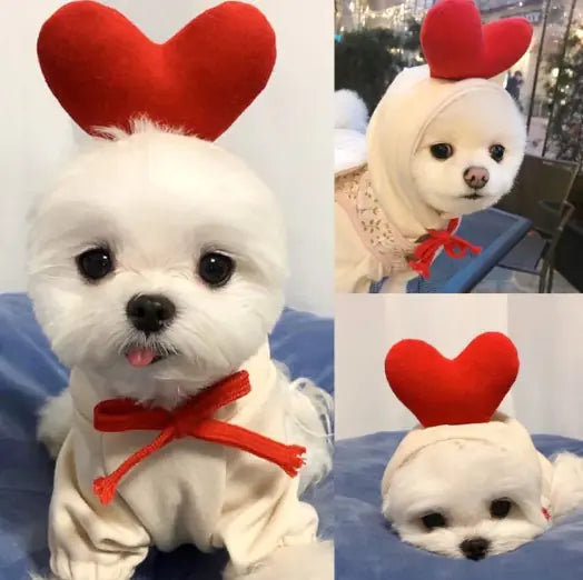 ✨ Sudadera  para Perros Pequeños ✨