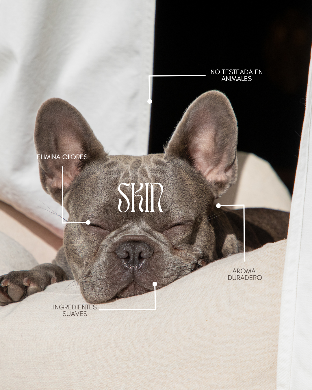 Bruma perfumada PARADISE DOG