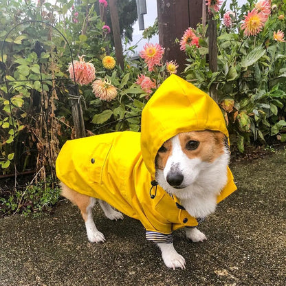 Impermeable acolchado para perro a prueba de viento estilo retro de la marca Tide🐶🐾