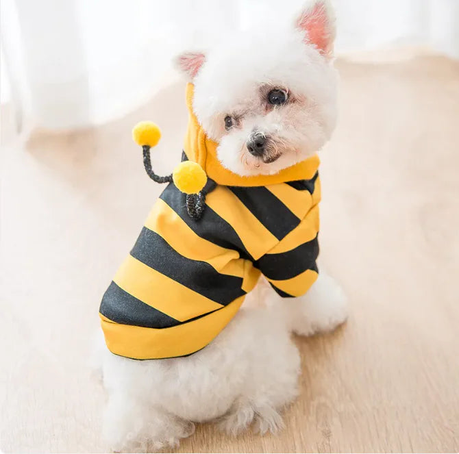 Disfraz abeja para tu peludito.