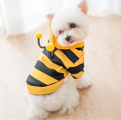 Disfraz abeja para tu peludito.