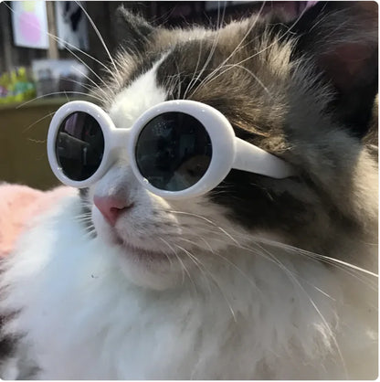 😎 Gafas de Sol Multicolor para Perros y Gatos
