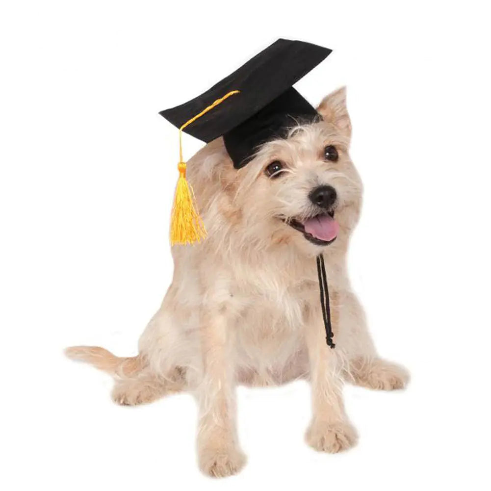Birrete de Graduación Doctoral Personalizado para Perros con Borla🐶🐾