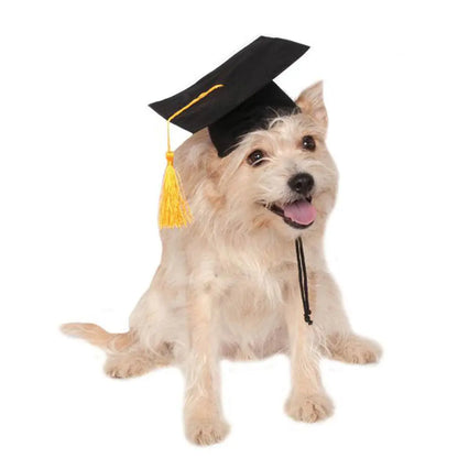 Birrete de Graduación Doctoral Personalizado para Perros con Borla🐶🐾