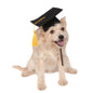 Birrete de Graduación Doctoral Personalizado para Perros con Borla🐶🐾