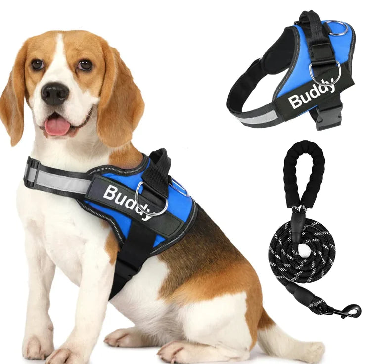 🐾🐕‍🦺Arnés doble para perros con correa incluida❤✨