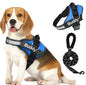 🐾🐕‍🦺Arnés doble para perros con correa incluida❤✨