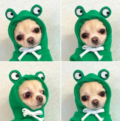 ✨ Sudadera  para Perros Pequeños ✨