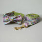 Set de Collar y Correa para Perro – Purple Zephyr 💜 Elegancia y Comodidad en Paseos Inolvidables
