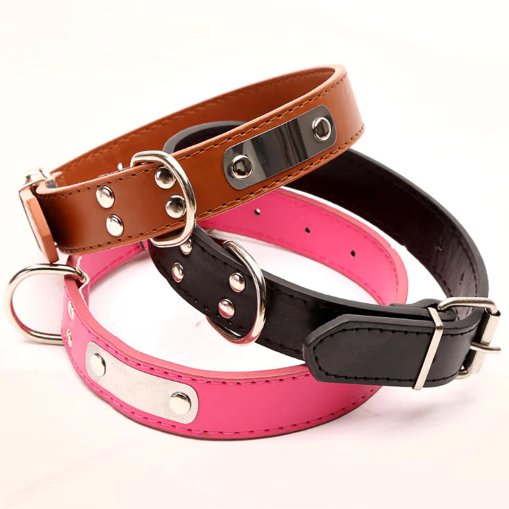 Collar para mascotas personalizado 😻🐾