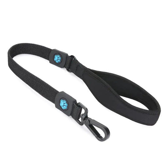 Correa de alta elasticidad para perros pequeños, medianos y grandes