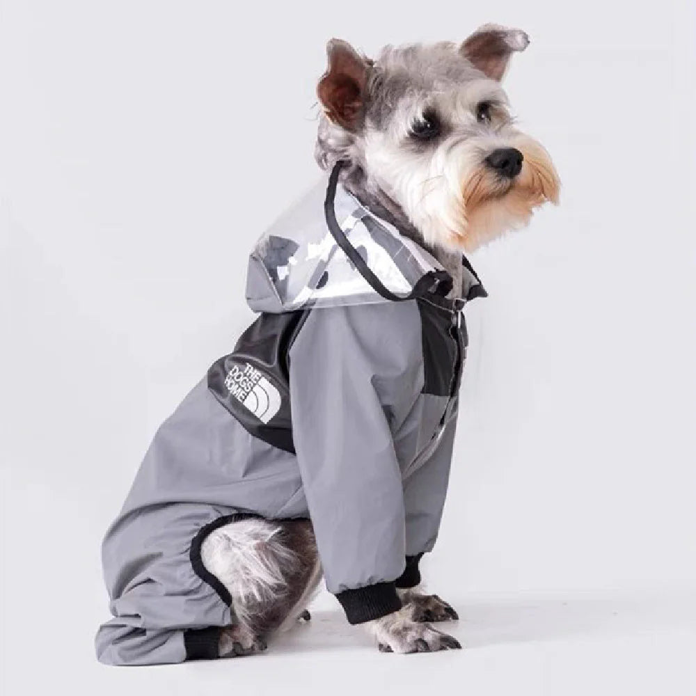 Chubasquero de moda para perros 🐶🐾
